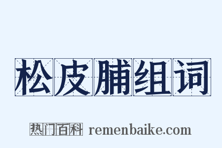 松皮脯组词是什么意思的图片